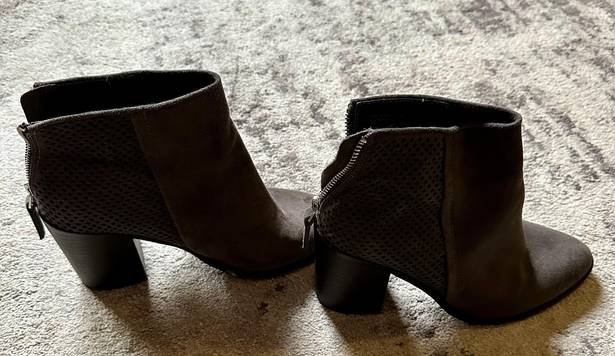 Steve Madden Heeled Booties