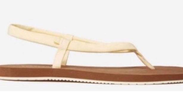 Everlane Balsa Lycra Swim Sandals Size 8