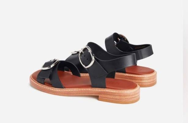 Everlane EUC  The Twin Buckle Sandal