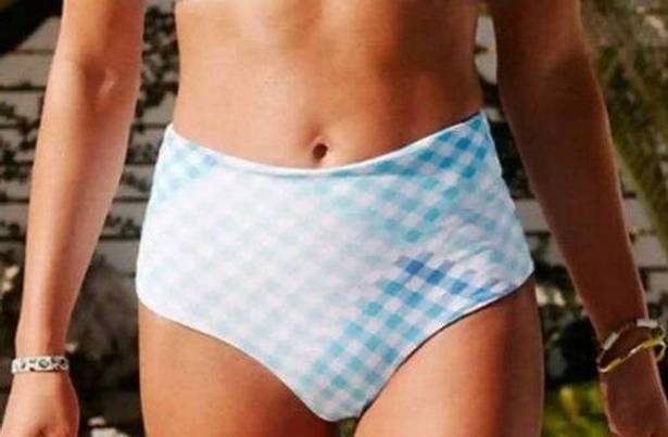 L Space  Portia Classic Bikini Bottoms Picnic Plaid Large