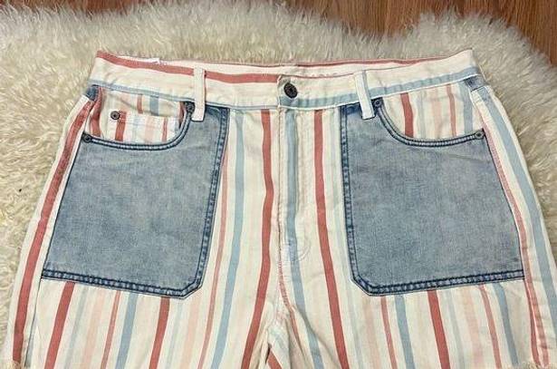 American Eagle  Mom Shorts Vintage Wash Striped Raw Hem 14