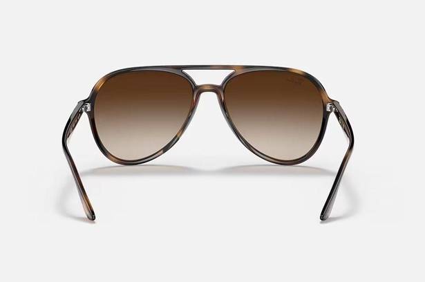 Ray-Ban Polished Havana Sunglasses 