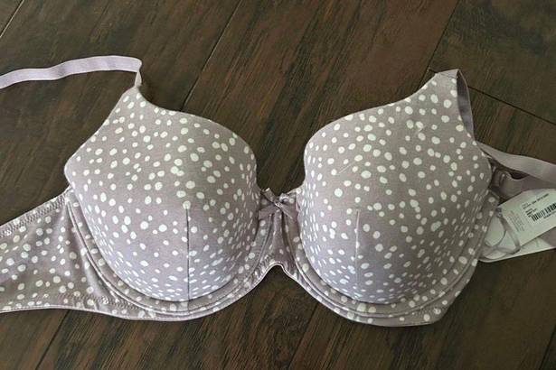 JC Penny Ambrielle Bra