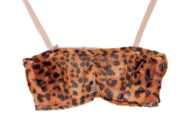 We Are HAH NWT  Wired Bra in Lanka Leopard Print Size 30-38B NEW