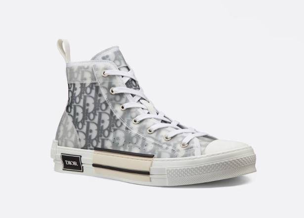 Dior B23 High Top Converse Sneakers