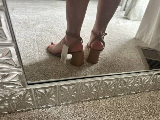 A New Day Heels