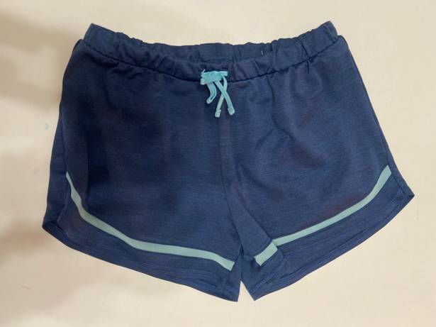 Authentic American Heritage Blue Athletic Shorts