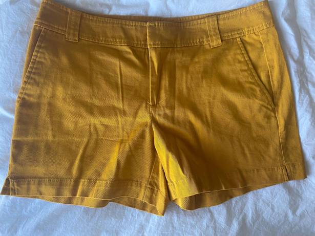 New York & Co. Shorts