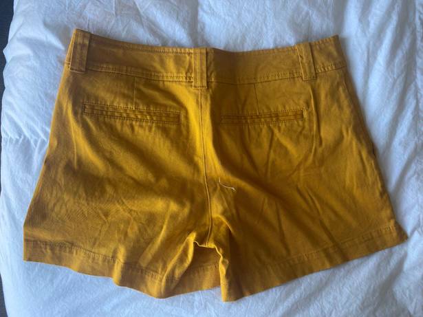 New York & Co. Shorts