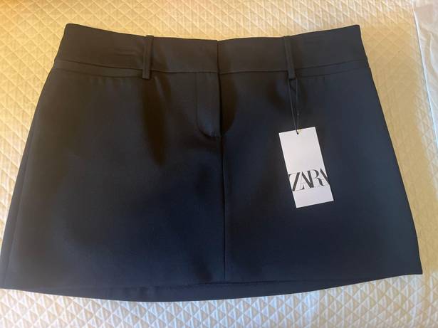 ZARA Super Cute Mini Skirt