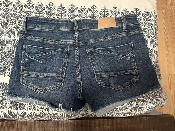 BKE Buckle  Stella Shorts