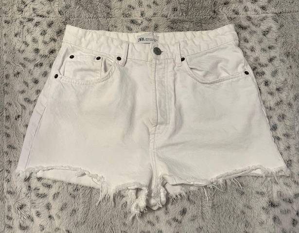 ZARA Jean Shorts