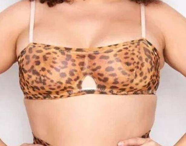 We Are HAH NWT  Wired Bra in Lanka Leopard Print Size 30-38B NEW