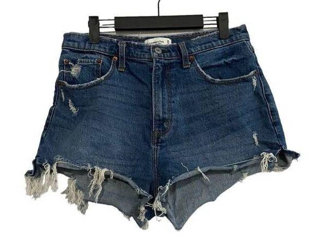 Abercrombie & Fitch  High Rise Mom Jean Shorts Denim Size 30 US 10 Curve Love