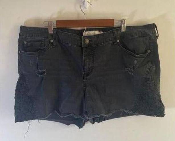 Torrid Women's  Black Lace Trim Shorts Size 24 EUC!