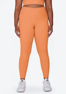 - Sportbody Leggings Orange Athletic Workout Training Running Gum Yoga