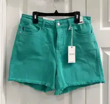 Judy Blue shorts