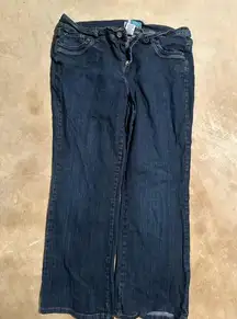 Just my size denim jeans.  Modern bootcut. Size 18