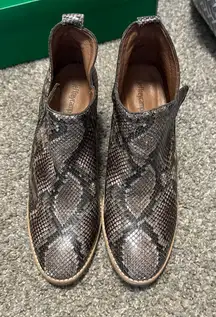 Jeffery Campbell Snakeskin Ankle Boots