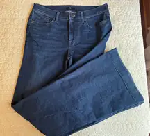 7 For All Mankind Dojo Flare Jeans