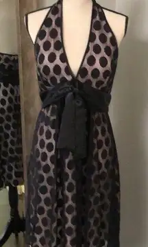 Bebe  Cocktail Dress (Lace & Polka Dot)