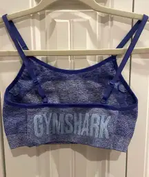 Blue Gym, Shark Sports Sports Bra