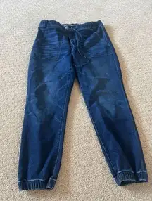 American Eagle Jogger Jean Size 14 Short Bin 201