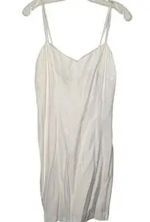 Vintage Champagne West Dress nwt