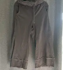 Free People Gray Boxy Track Pants and sweatshirt combo.  Size  xs.