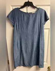 Eileen Fisher Chambray Cotton/Tencel Blend Dress W/ Zipper Closure Size Small