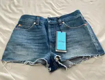 Gucci NWT  BLUE DISNEY EDITION DENIM ECO-WASHED DONALD DUCK SHORTS