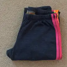 Aviator Nation Sweatpants 5 Stripe Neon Navy