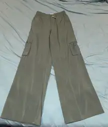 NWT Offline by Aerie Green Chill Moves Cargo Pants in size S Green