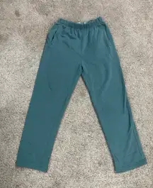 Teal Sweatpants 
