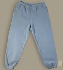 Abercrombie & Fitch Garment Dyed Blue Fleece Joggers Sweatpants Size L