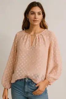 Liz Claiborne Blush‎ Pink Sheer Chiffon Blouse M Romantic Boho Long Sleeve