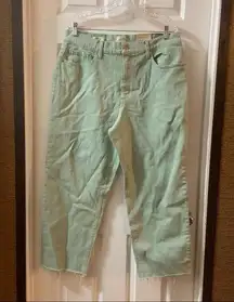 NWT Universal Thread Green Vintage Straight Jeans Size 16