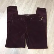 NWOT Purple Burgundy Velvet Skinny Jeans Pants New