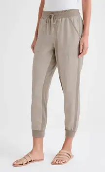 Splendid Lakeside Linen Blend Jogger Pants in Fawn Medium
