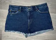 Abercrombie & Fitch Annie High-Rise Shorts Women's Size 12