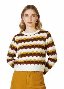 Molly Green Cropped Zig Zag Sweater Womens S Brown Retro Indie 70s Preppy