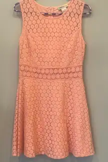 Sleeveless  Pink Fit and Flare Midi Dress