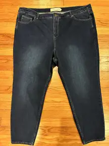 Soft Surrondings Women's 24W Dark Wash Jeans EUC