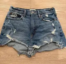 Abercrombie & Fitch The Mom Short High Rise - Curve Love