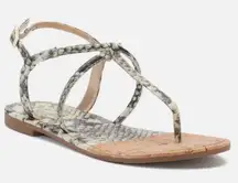 Sam Edelman Circus Bridget Snake Print Corkscrew T Strap Flat Strappy Sandals