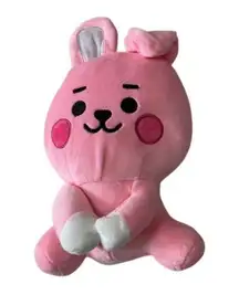 NWOT New BTS21 Line Friends Plushie "Cooky"‎ Pink plushie doll BTS 21 stu…