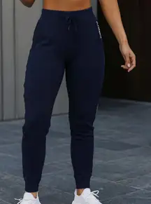 Alphalete Premium Joggers Size Small Navy Blue Athletic Fitness Pants