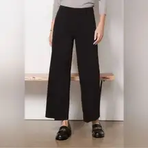Evereve Beth Wide Leg Pant in Black Size 25 High Rise Trouser Pants