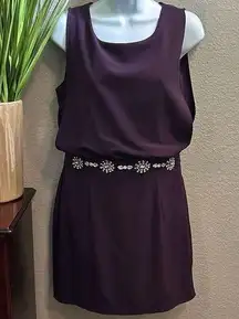 #4 C. Luce plum, embellished sheath dress size medium.