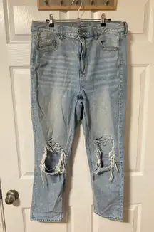 Strigid Ripped Mom Jean